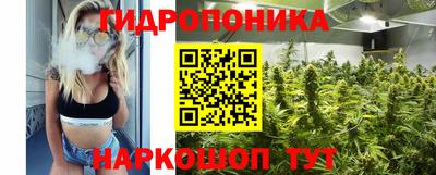сатива Гусиноозёрск