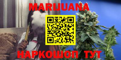 сатива Гусиноозёрск