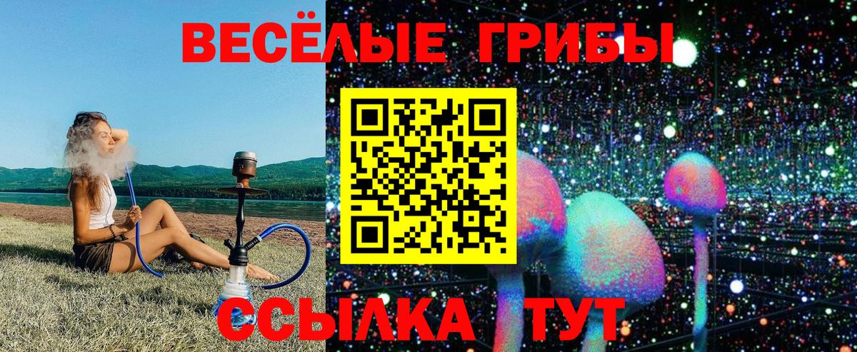 АМФ   Менделеевск  МЕФ   Вход с VPN 