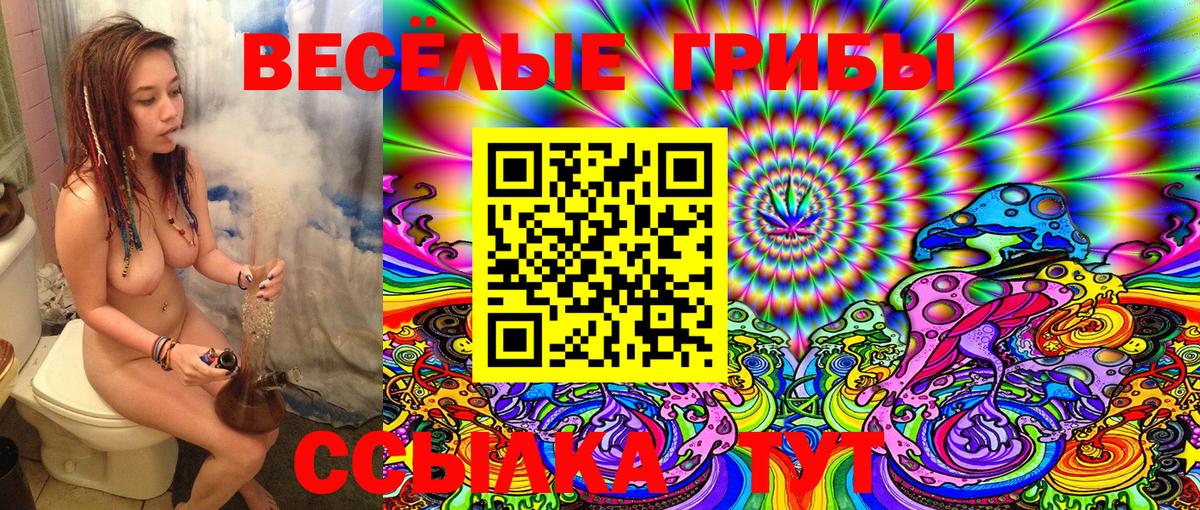 Менделеевск  Галлюциногенные грибы MAGIC MUSHROOMS  наркошоп  Псилоцибиновые грибы Cubensis  Вход с VPN 